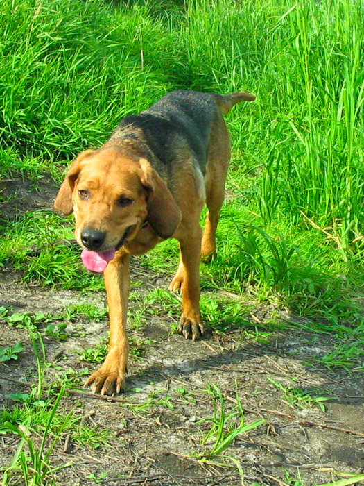 kapl-29.jpg