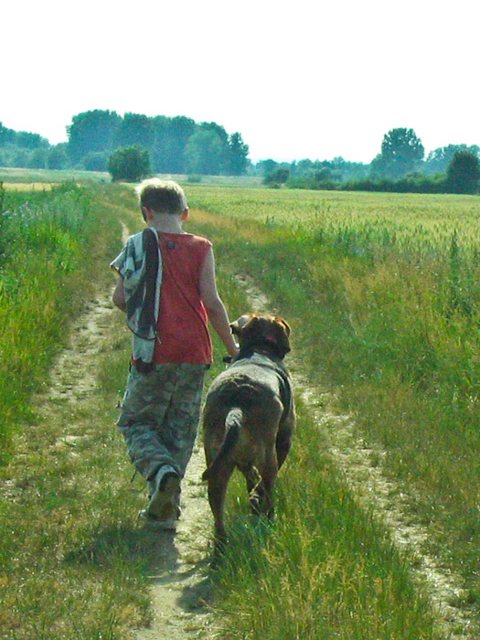 kapl-34.jpg