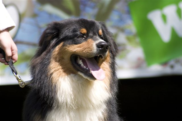 DOD2011_20110604_070.jpg