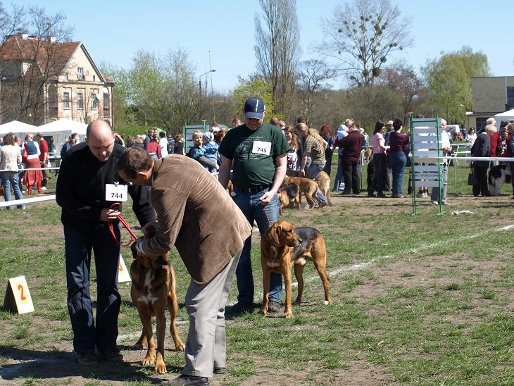 Rektor i Bogar w trakcie oceny