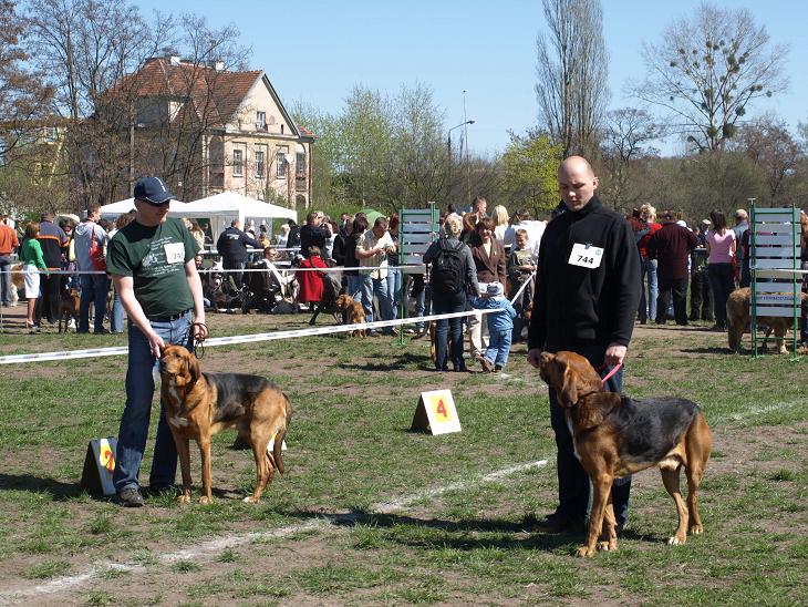Rektor i Bogar