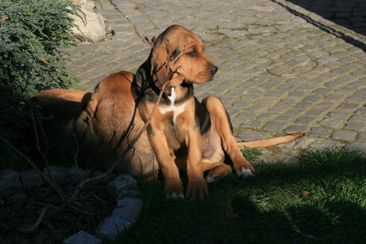 moja mamusia i tylko moja
