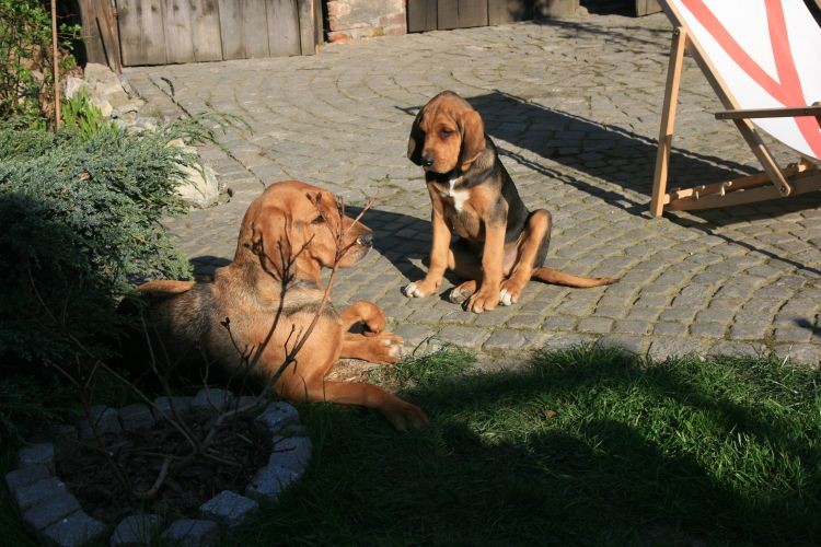 nudzę się mamo, baw się ze mną
