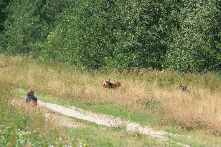 wejść w spółkę z nami chciała