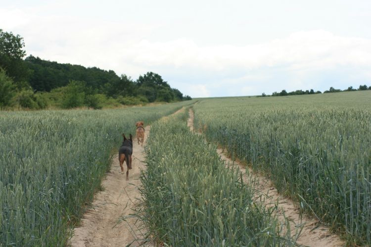 i moją została