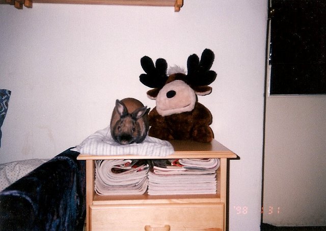 ScannedImage-5.jpg
