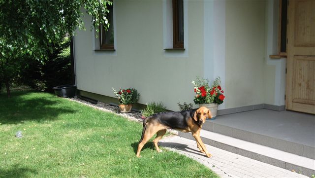 teraz zajrzę co w domu....