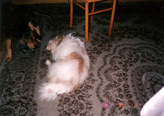 ScannedImage-6.jpg