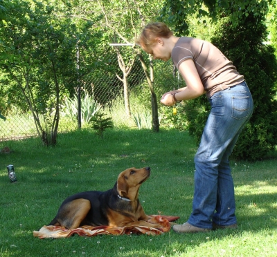 Iska szkółka.jpg