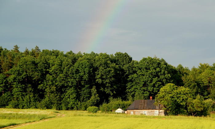tu znów za płotem :)