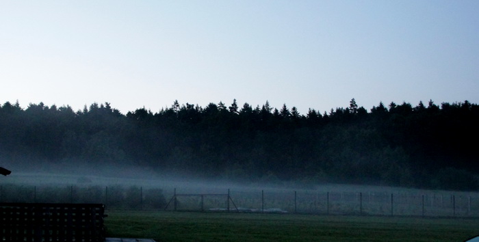 IMG_6133_resize.JPG