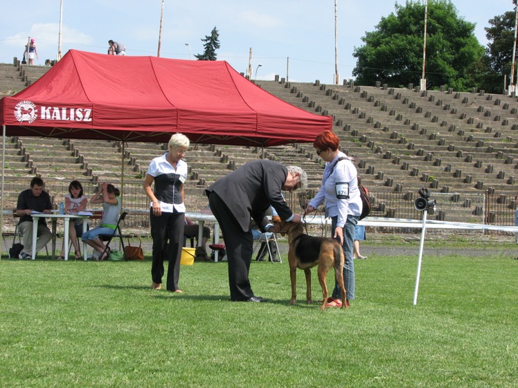 Wystawa Kalisz 024.jpg
