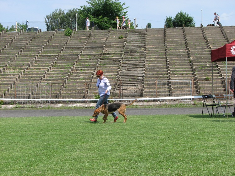 Wystawa Kalisz 026.jpg