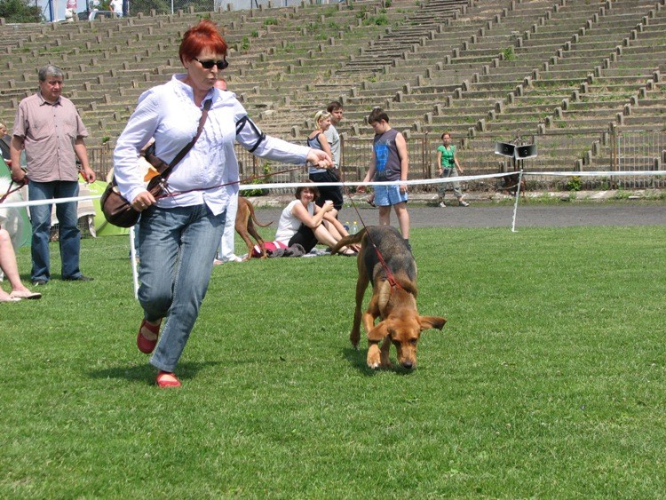 Wystawa Kalisz 027.jpg
