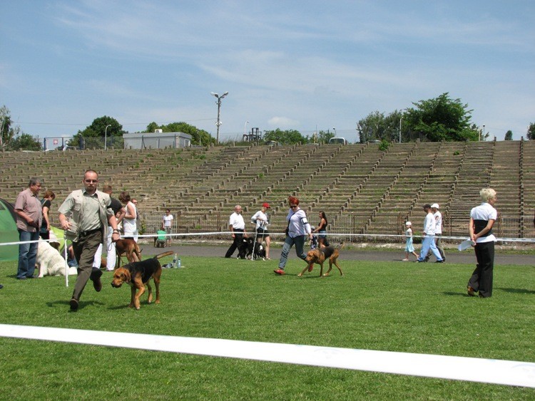 Wystawa Kalisz 032.jpg