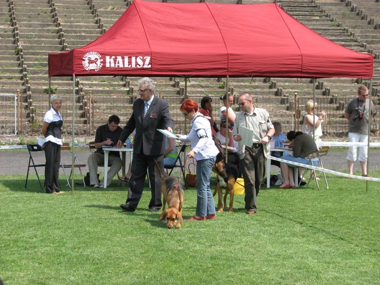 Wystawa Kalisz 035.jpg