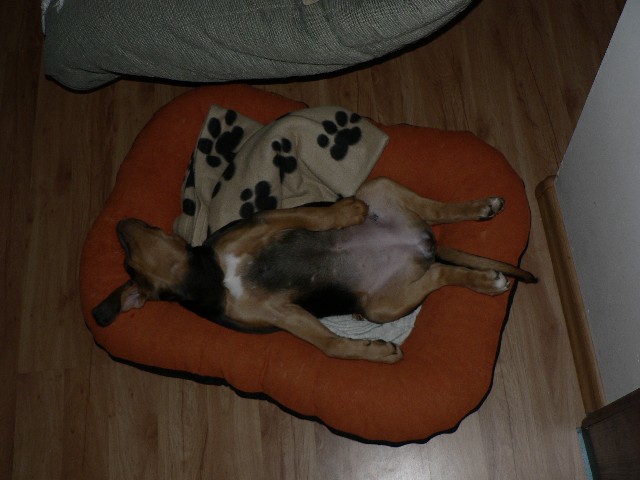 ... chrrr...chrrr...chrrr....