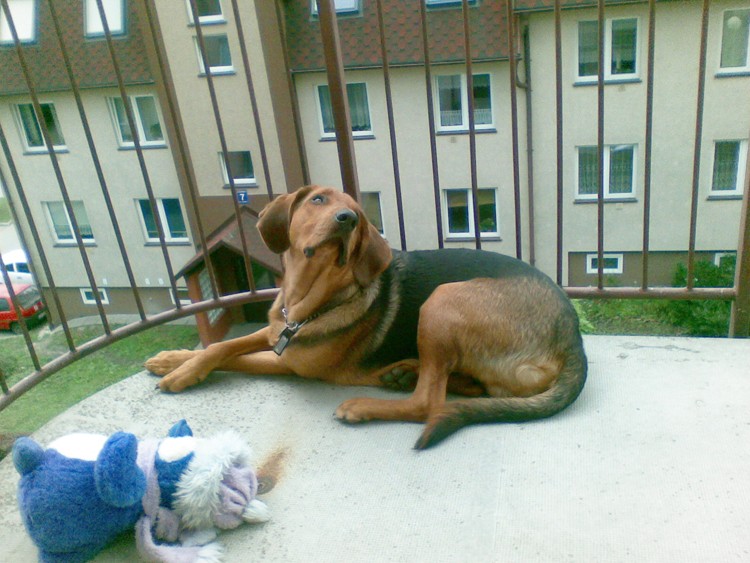 19.05.2009052.jpg