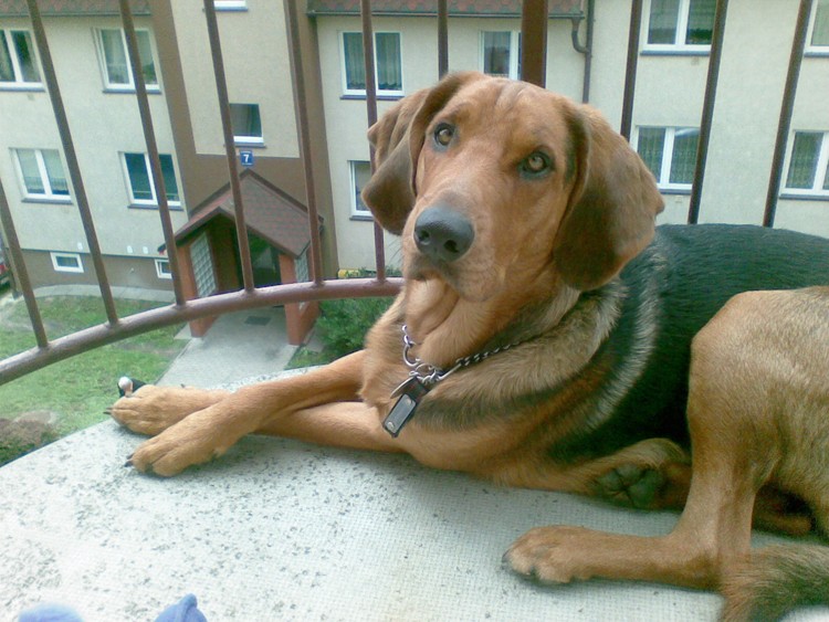 19.05.2009051.jpg