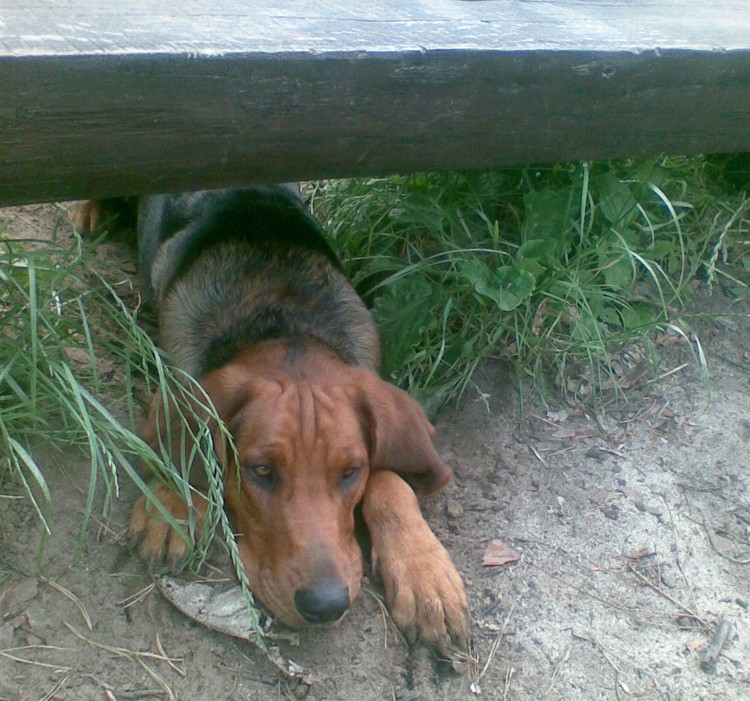 19.05.2009041.jpg