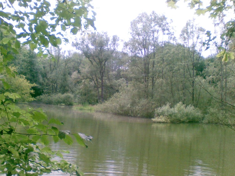 19.05.2009048.jpg