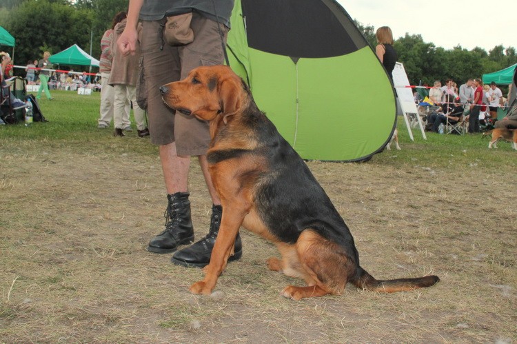 Karbon gotowy do startu :)
