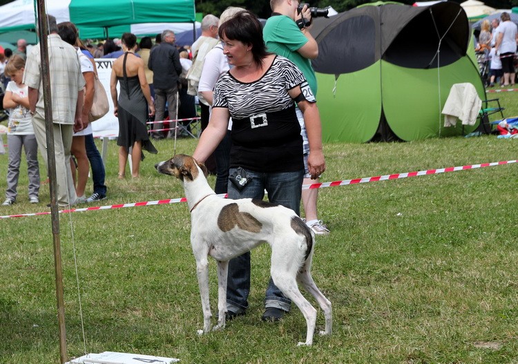IMG_6404_resize.JPG