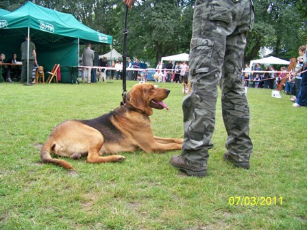 100_2139.JPG