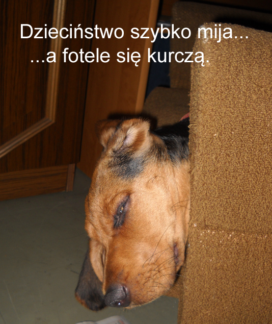 dziecinstwo.png