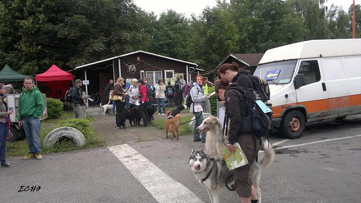 DOGTREKKING2.jpg