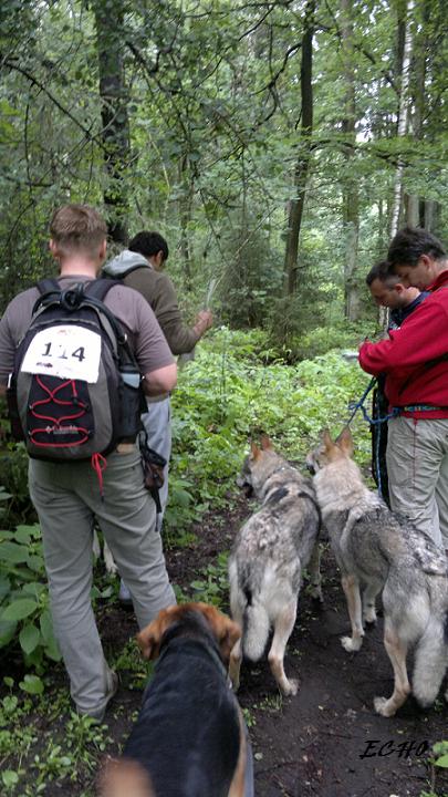 DOGTREKKING8.jpg