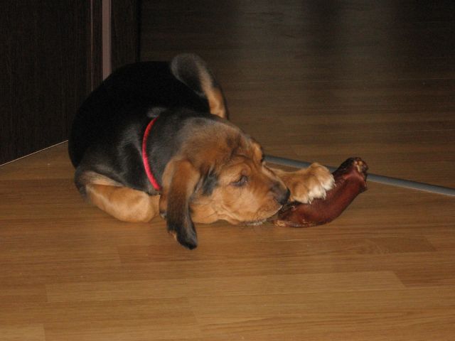 IMG_0002_1.jpg
