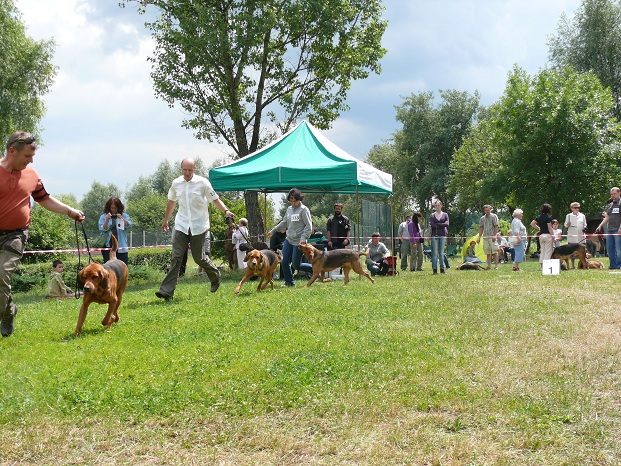 &quot;Rasowe&quot; przebieżki - Cyran, Pyza i Gala.