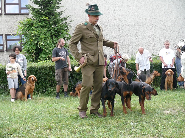 Zaprzęg gończych chwilowo uniemożliwił zrobienie grupówki...