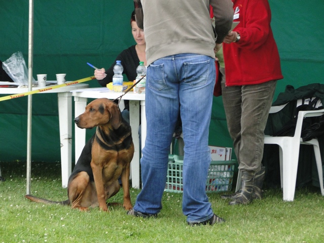 DSC02938.JPG