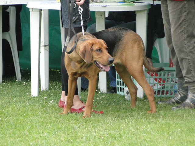DSC02945.JPG