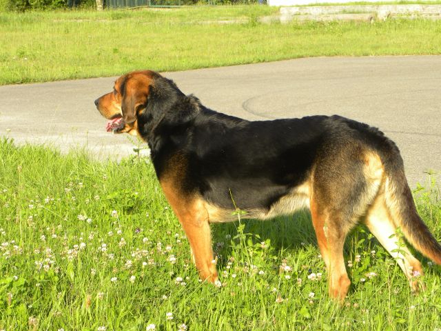 Obraz 416.jpg