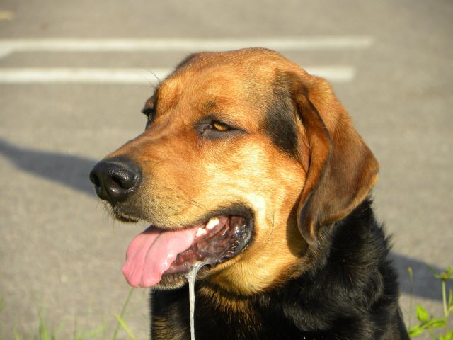 Obraz 422.jpg