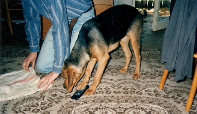 ScannedImage-11.jpg