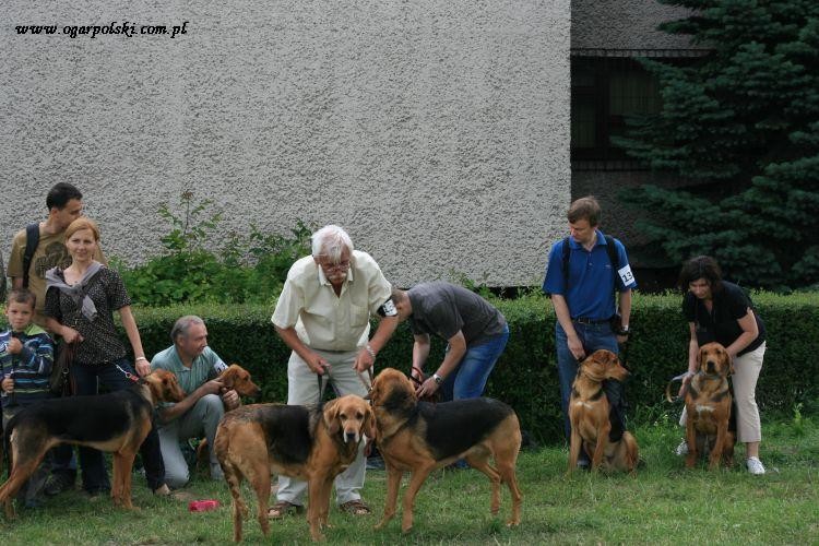 kraków 2011 277.jpg