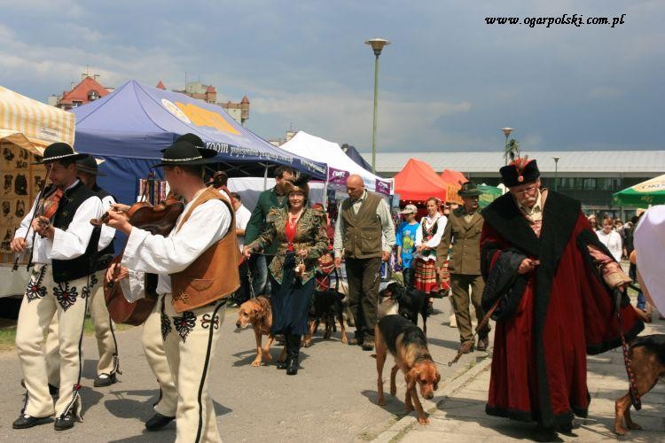 kraków 2011 295.jpg