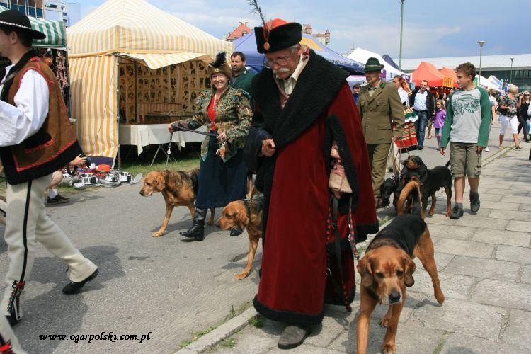 kraków 2011 296.jpg