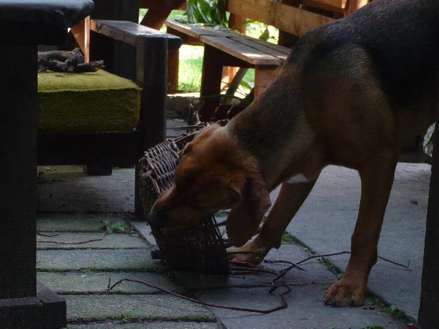 P1060971.JPG