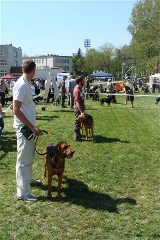 DSC03182.JPG