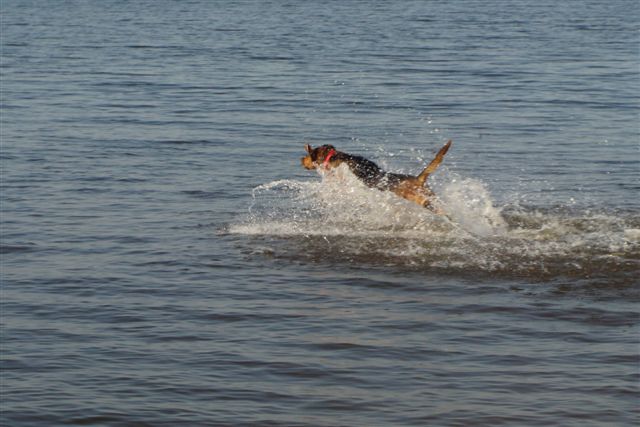 DSC03113.JPG