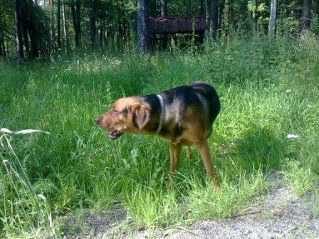 10072011168.jpg