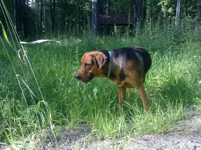 10072011169.jpg