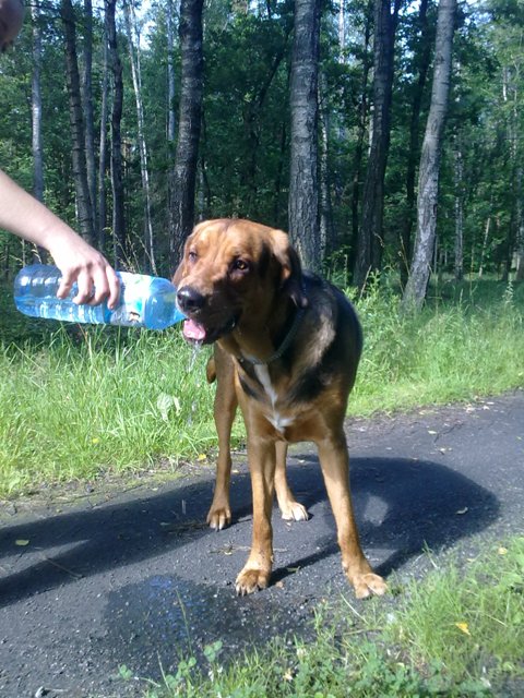 10072011177.jpg