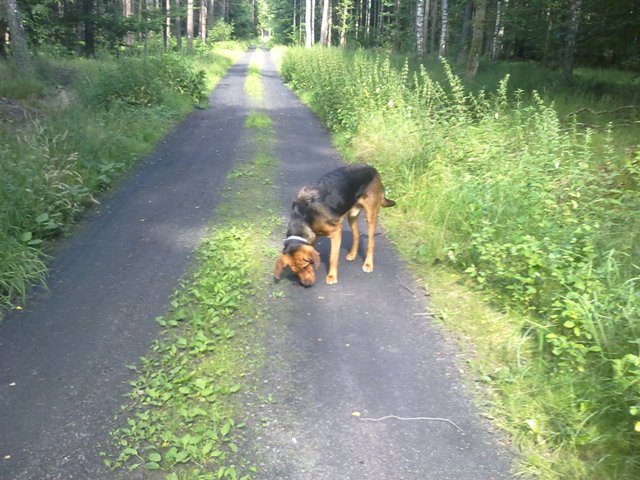 10072011179.jpg