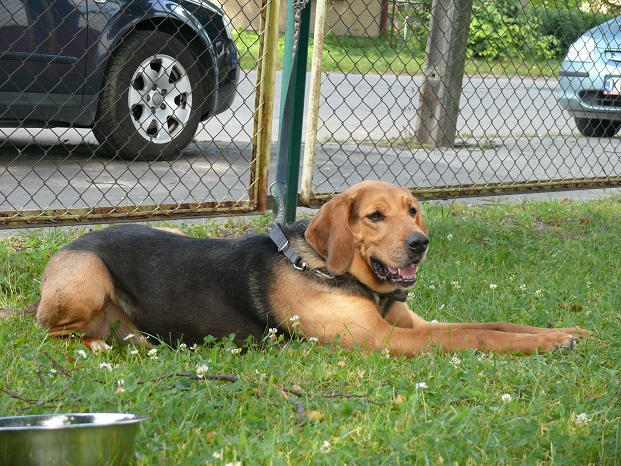Diunka.